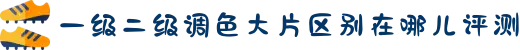 一级二级调色大片区别在哪儿评测-传递家庭成员间的细腻关爱，让温暖的呵护陪伴每一个家庭。